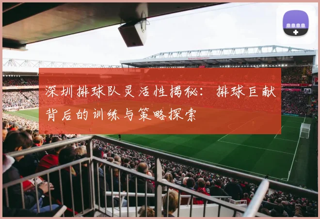 深圳排球队灵活性揭秘：排球巨献背后的训练与策略探索