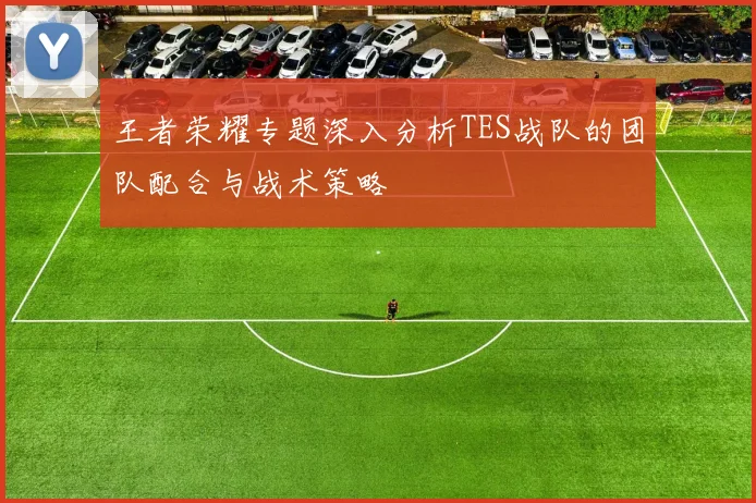 王者荣耀专题深入分析TES战队的团队配合与战术策略