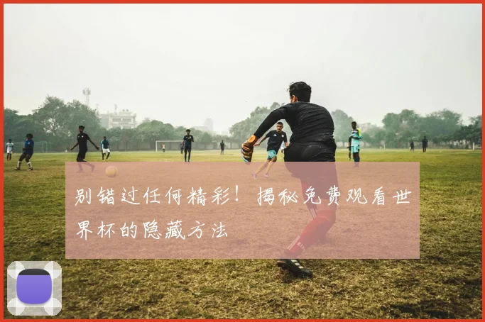 别错过任何精彩！揭秘免费观看世界杯的隐藏方法