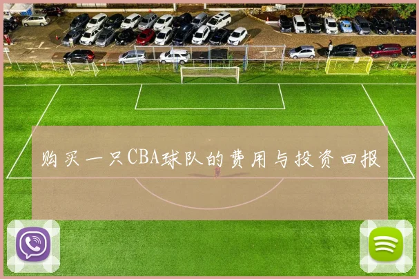 购买一只CBA球队的费用与投资回报